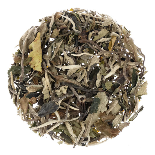Pai Mu Tan