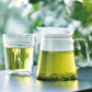 HARIO CLEAR Teapot (450ml/15oz)